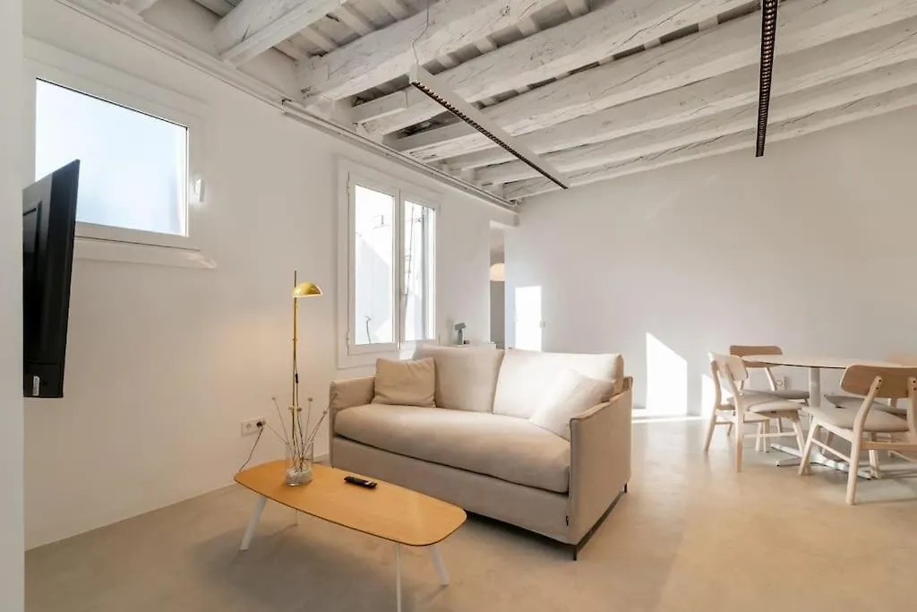 Lively 1 Bdr Apartment With Private Terrace Born Barcelona Španělsko
